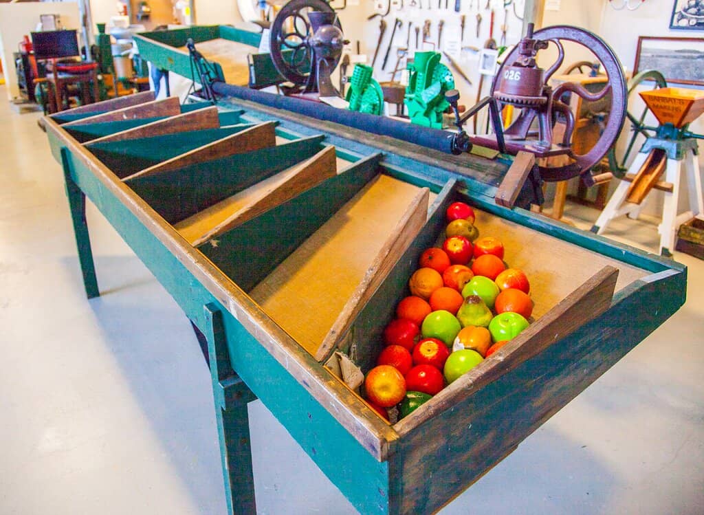 Interactive Play Area