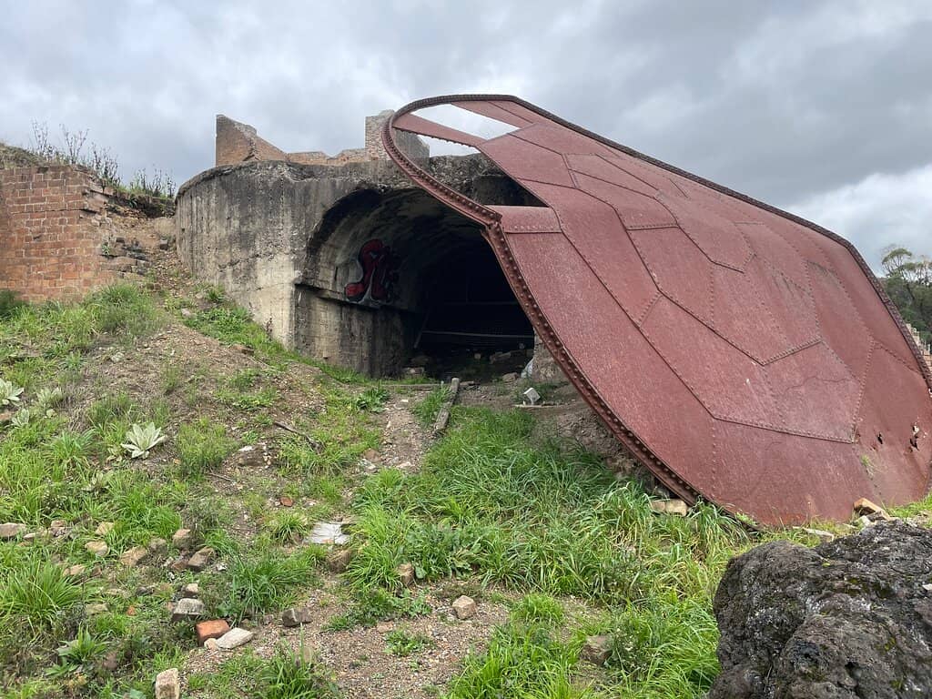 Verdant Park Setting