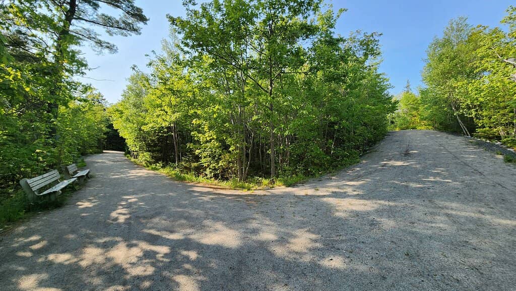 Long Lake Loop Trail