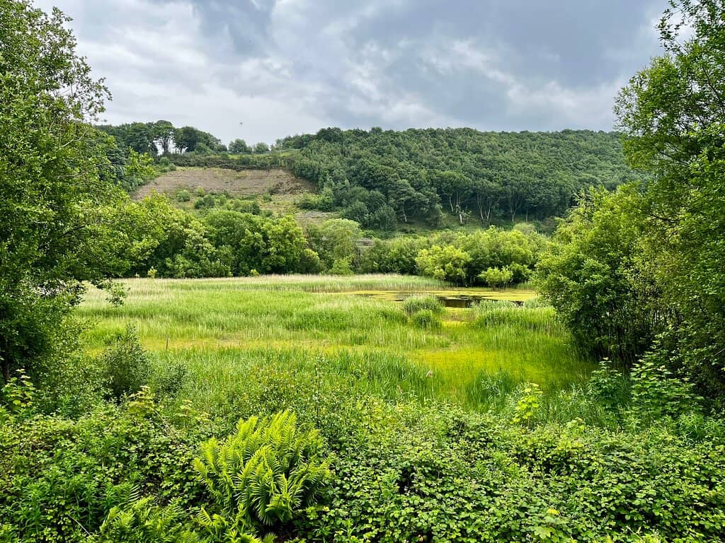 Bird & Squirrel Spotting