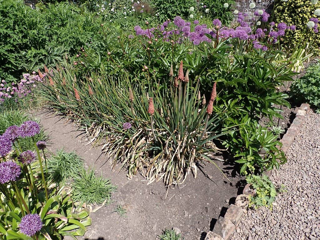 Sculptural Art Installations