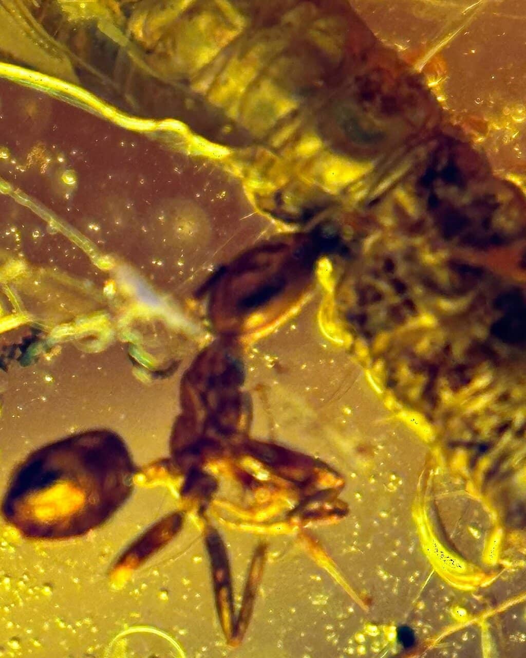 Victorian Architecture