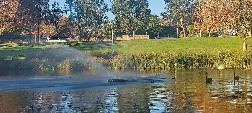 Claisebrook Cove Art Walk