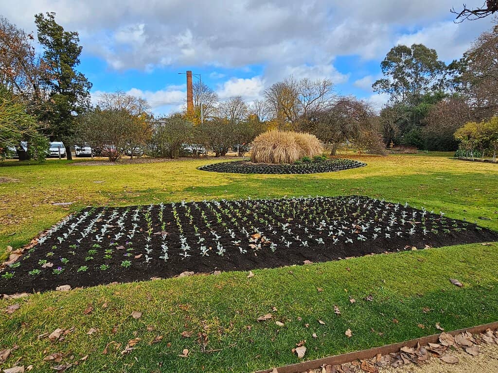 Children's Playground