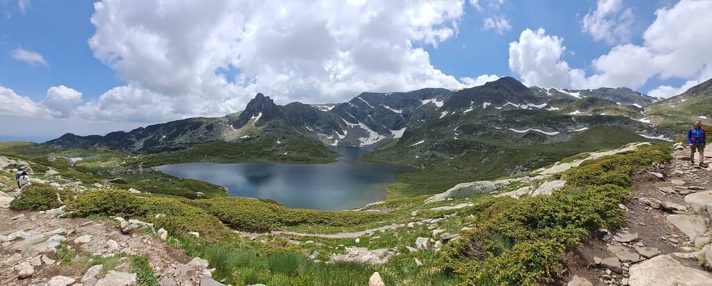 The Kidney (Bubreka)