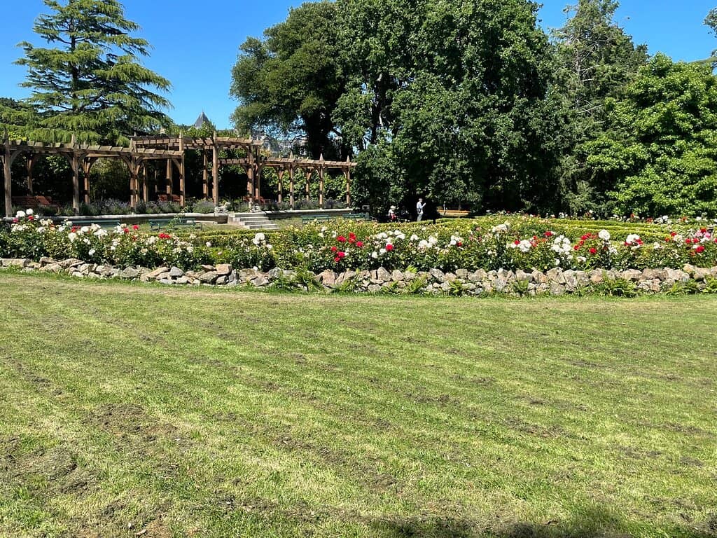 Children's Play Area