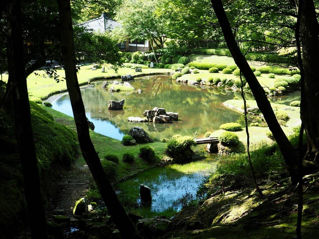 Sakamoto Installation