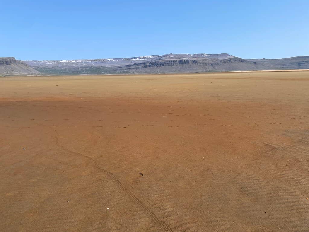 Birdwatching Opportunities