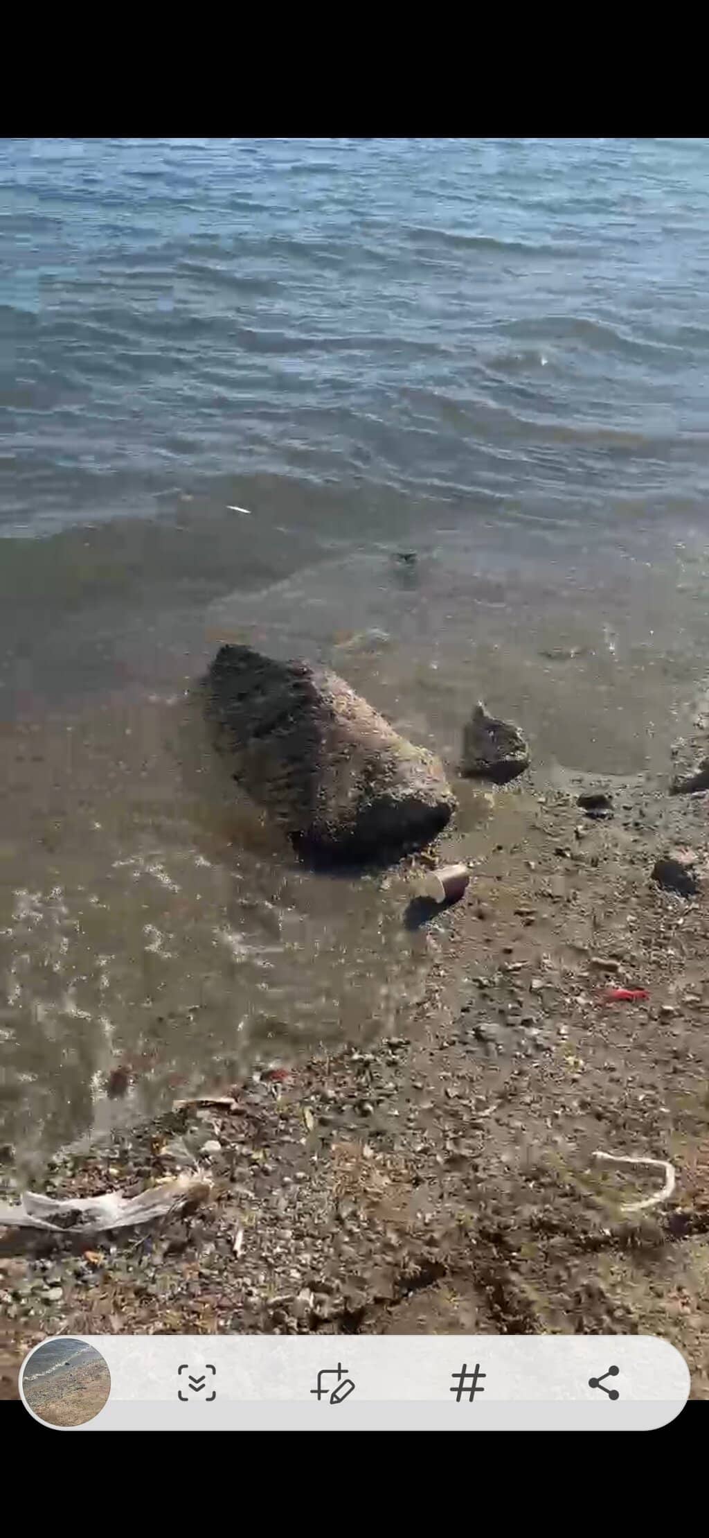 Water Sports & Activities