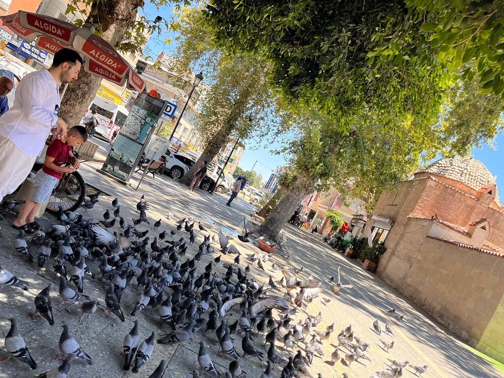 The Central Fountain