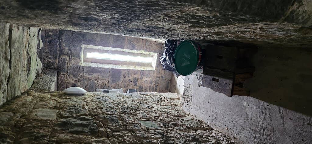 Archaeological Park & Trails