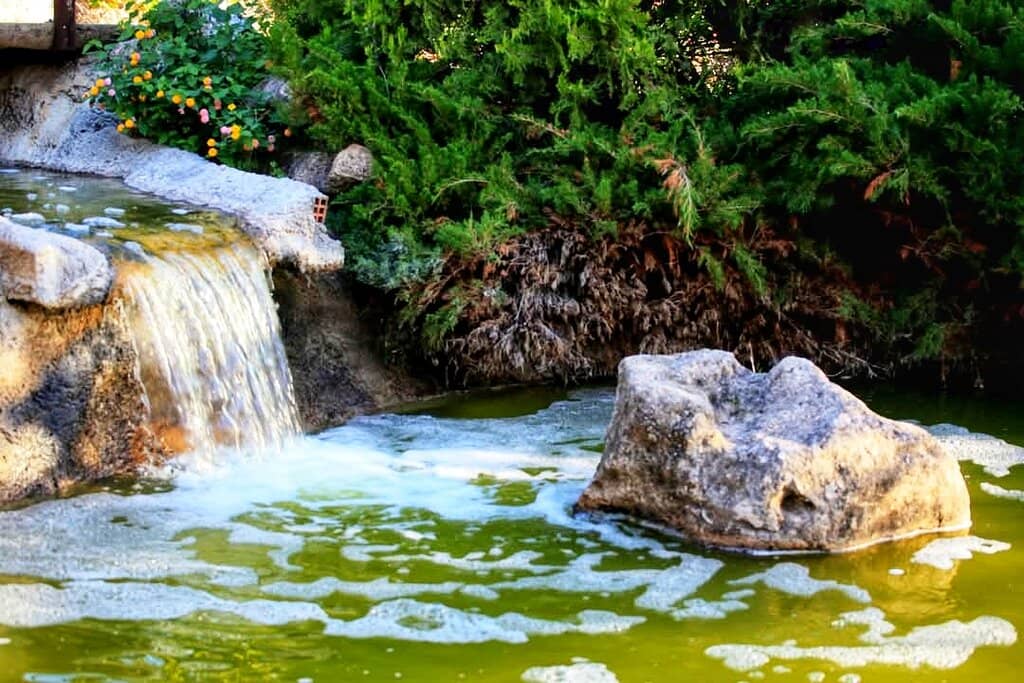 Scenic Walking Routes