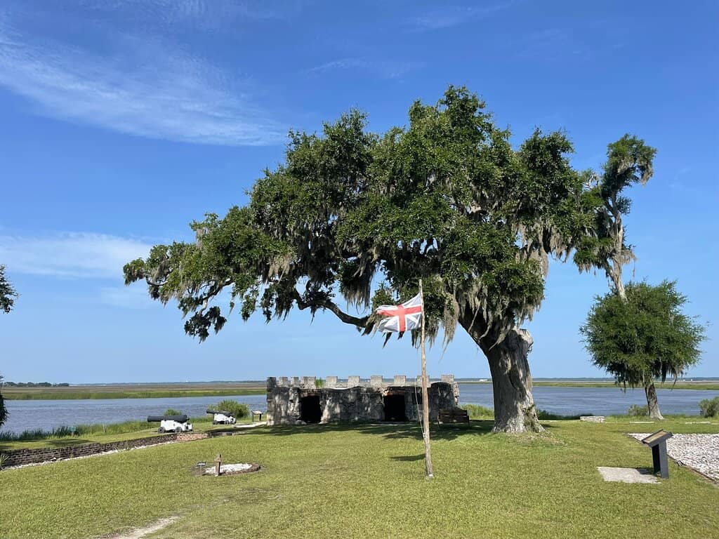 Scenic Live Oak Trees