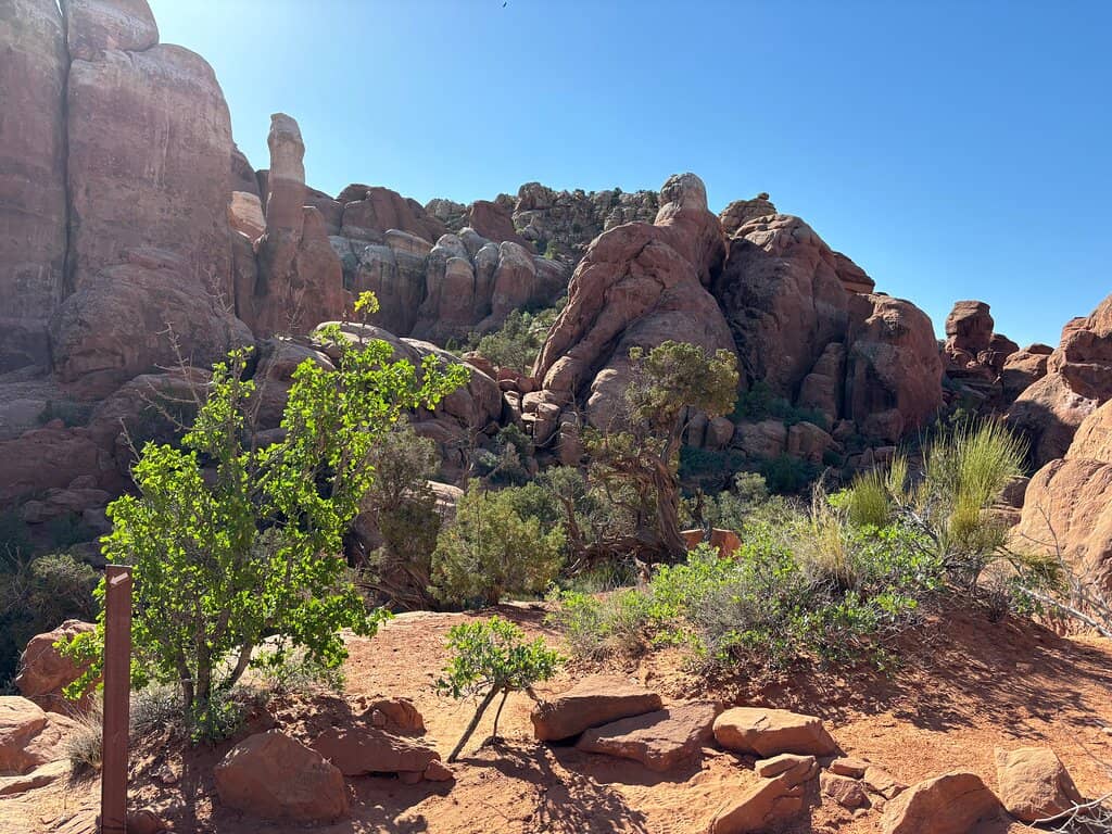 Hidden Arches