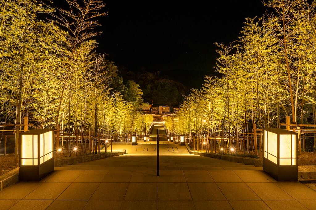 竹林の階段(夜景)