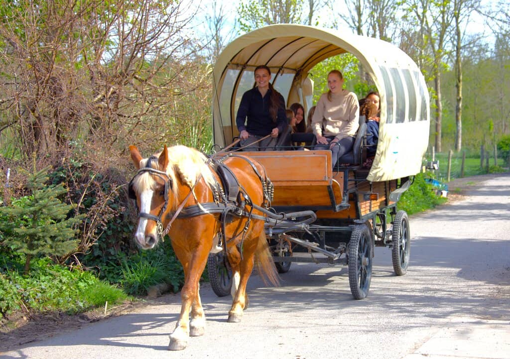 Helpful On-Site Staff