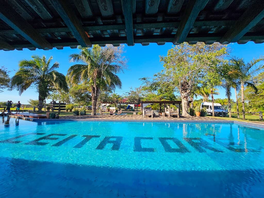 Delicious Farm-to-Table Lunch