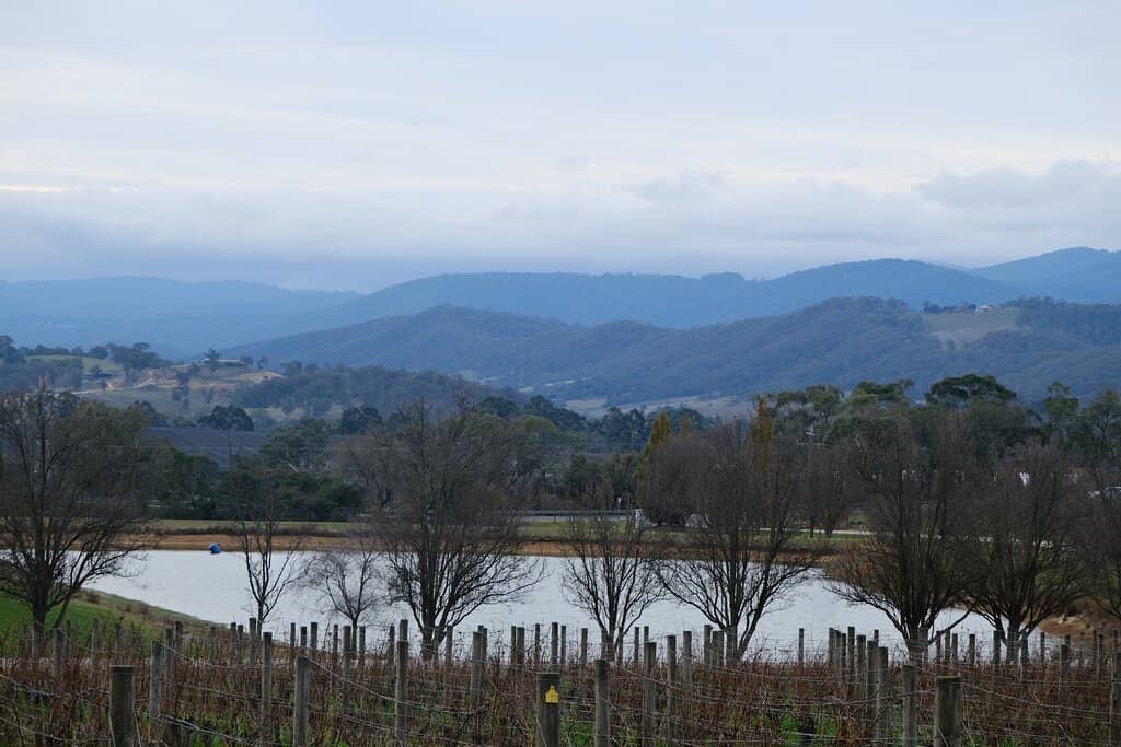 Chardonnay Masterclass