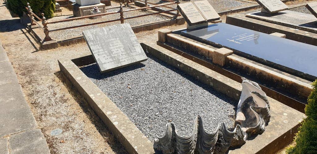 Welcoming Community Services