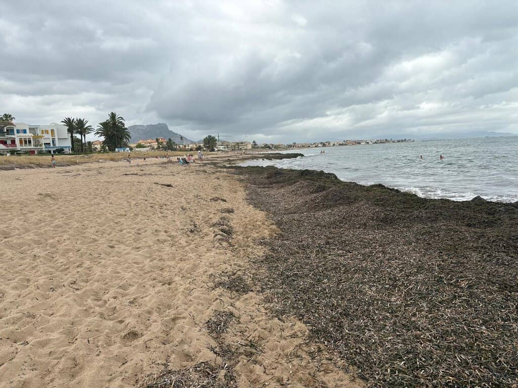 Sandy Shores & Shallow Waters