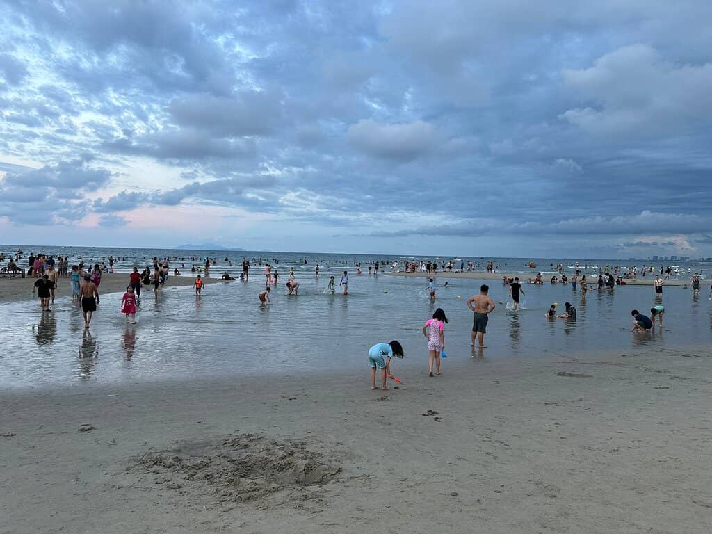 Tranquil Beach Strolls