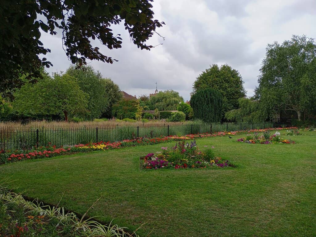Charming Duck Pond
