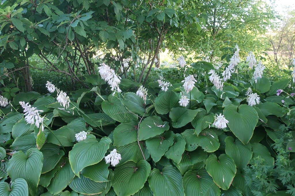 Playgrounds & Picnic Spots