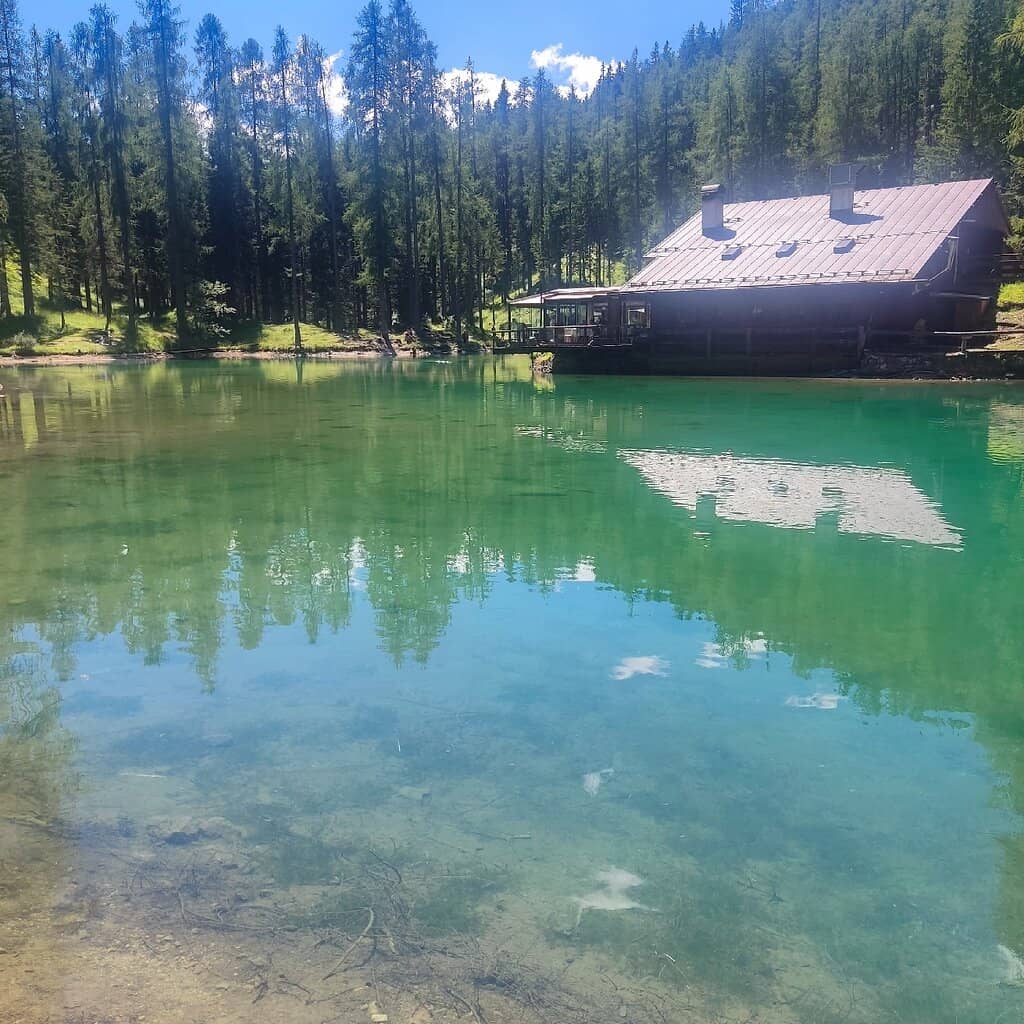 Tranquil Forest Walk