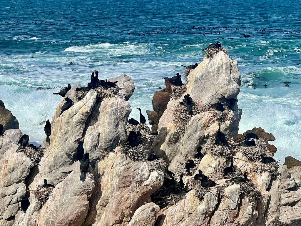 Coastal Scenery