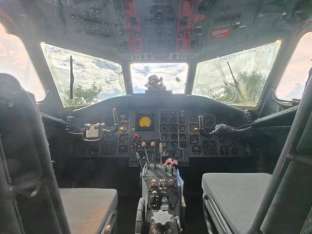 Interactive Family Fun