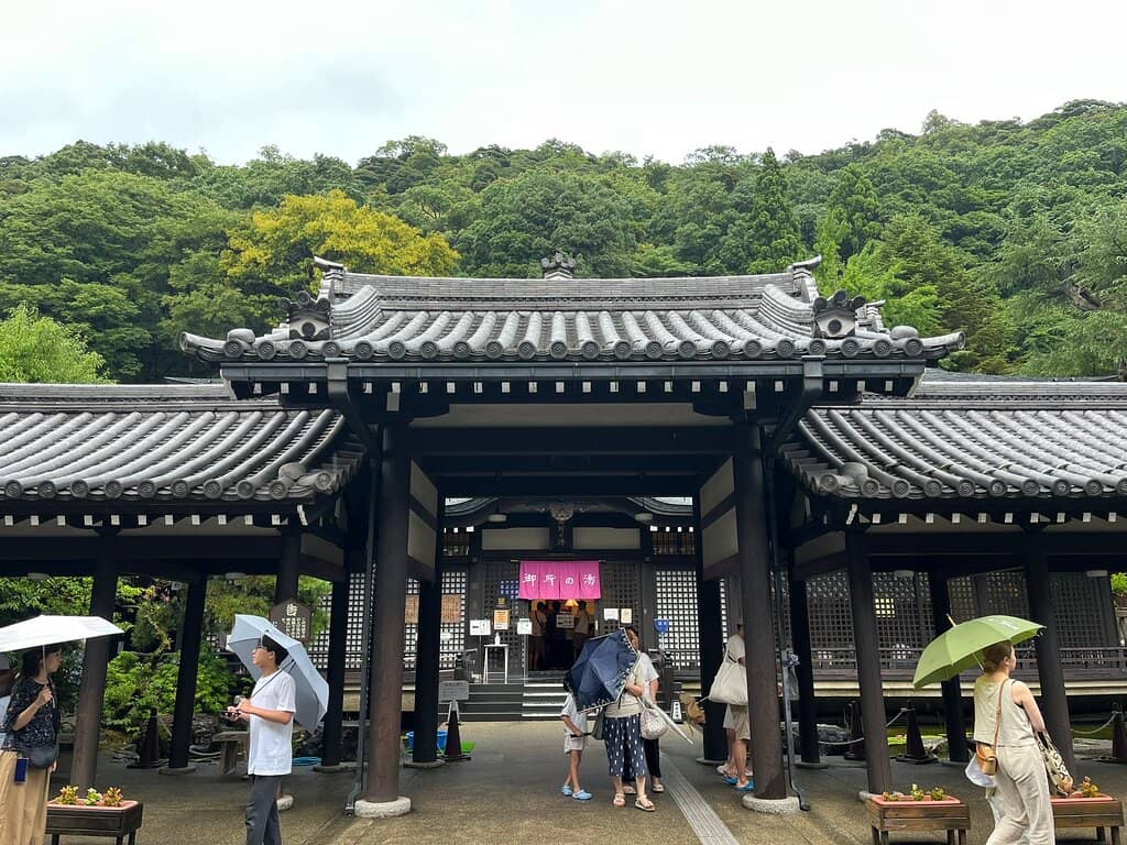 Therapeutic Water Jets