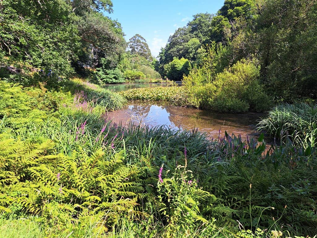 The Grand Georgian House