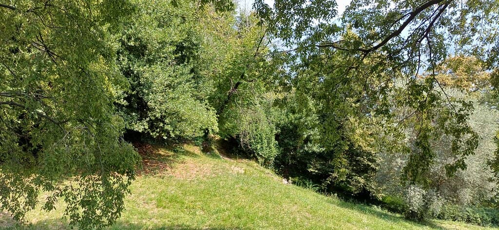 Scenic Walking Paths