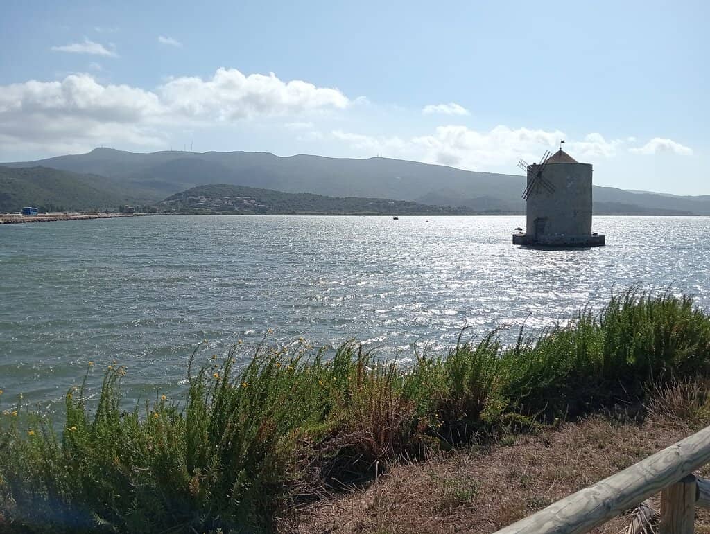 The Sole Survivor Mill