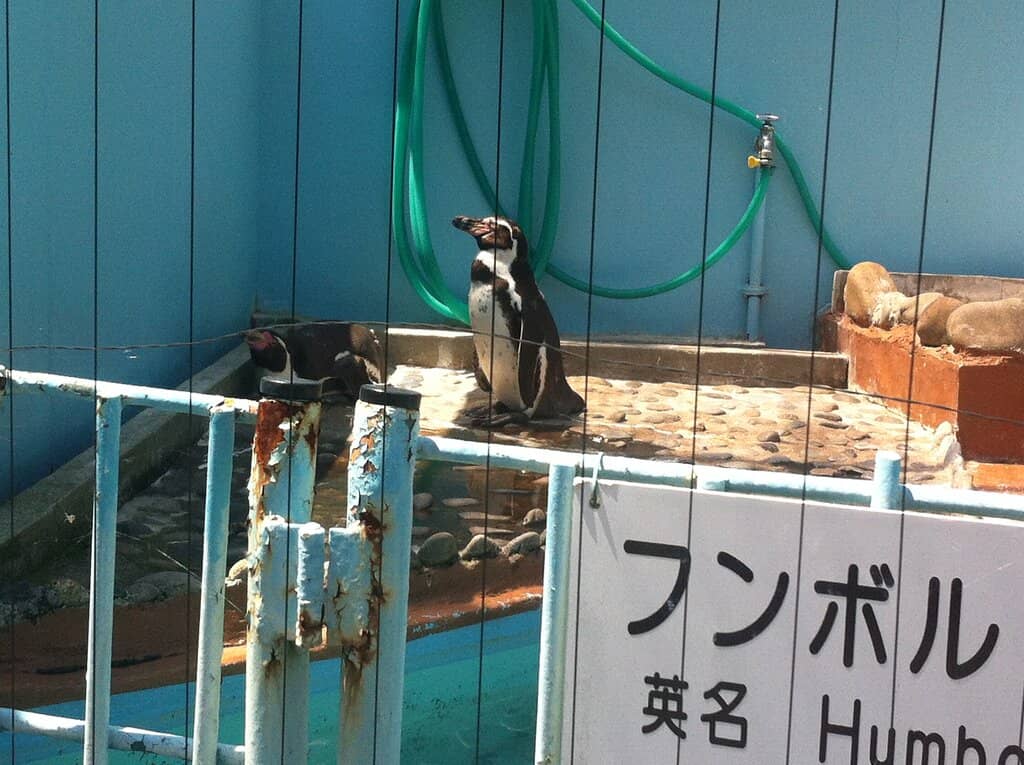 Wakayama Castle Views