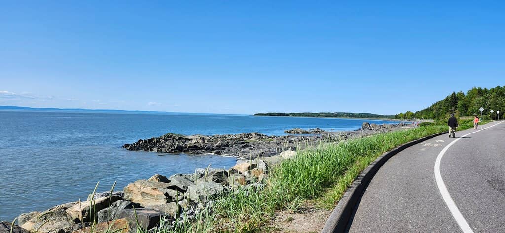 Shoreline Strolls and Wildlife