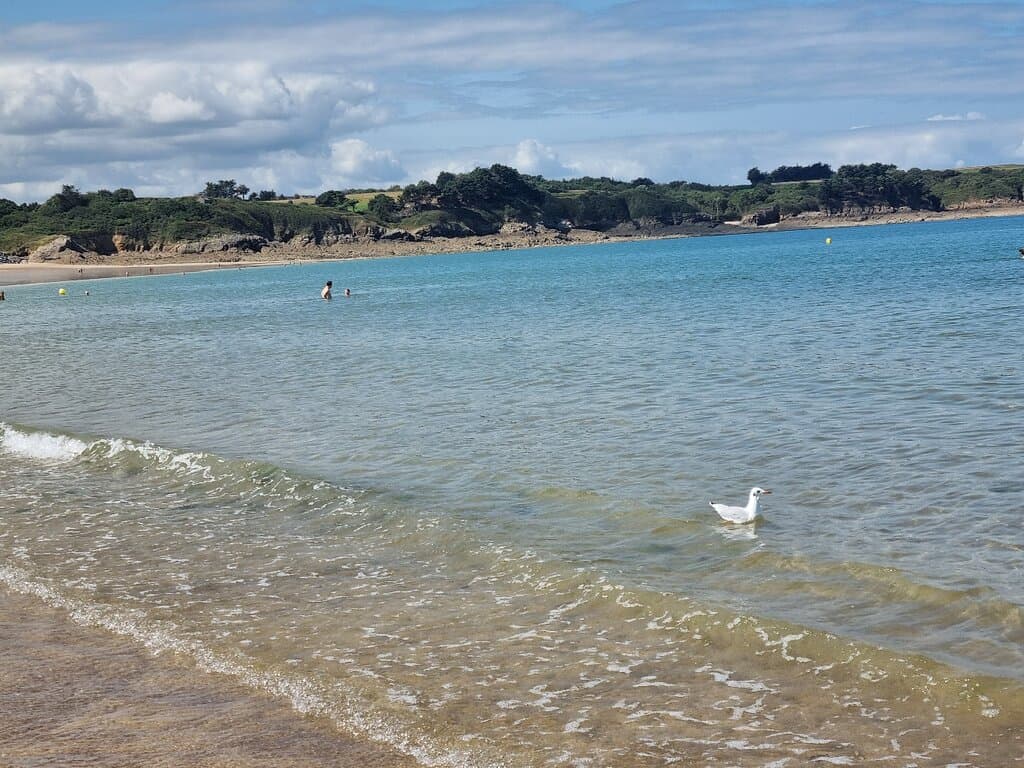 Place du Guesclin Dinan