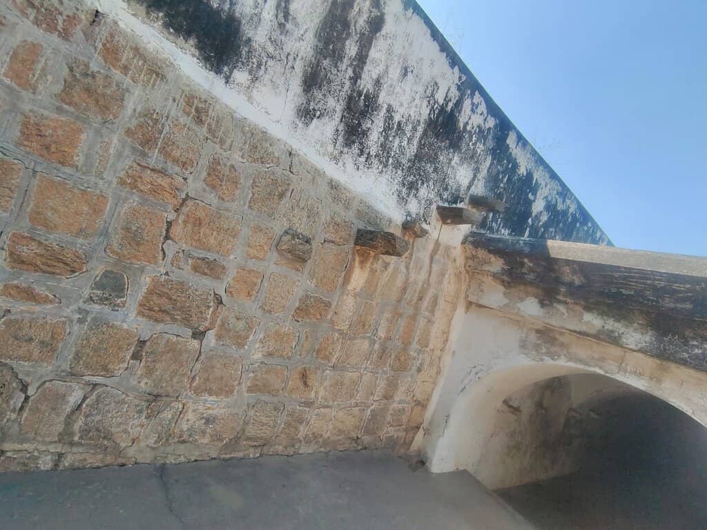 The Well-Maintained Gardens