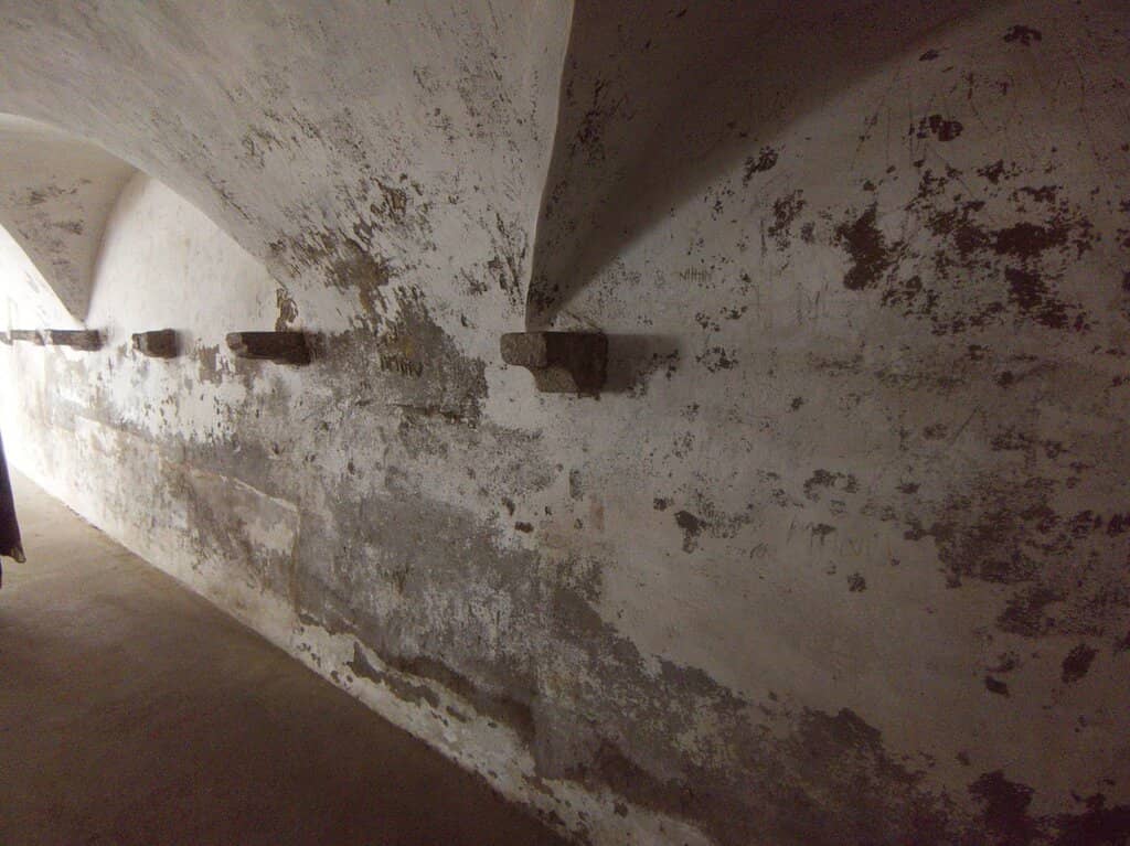 Col. Bailey's Stone Slab