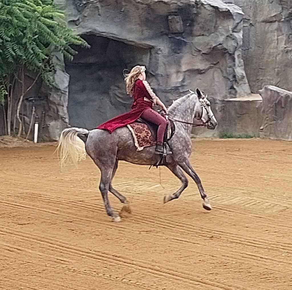 Château de Rocamadour