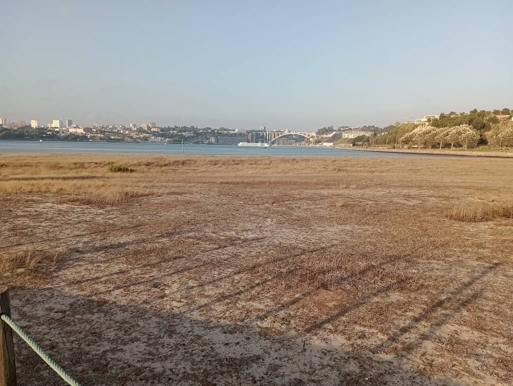 Scenic Mudflats & Salt Marshes