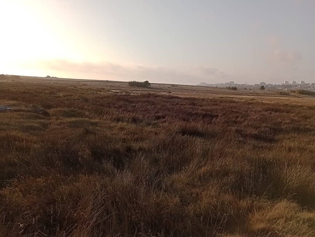 Birdwatching Paradise