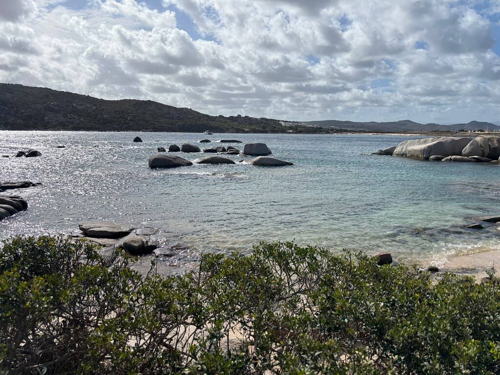 Vertical photo