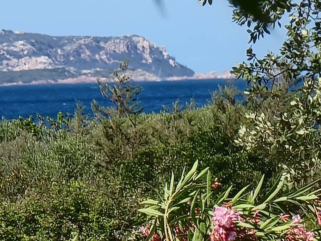 Turquoise Waters and White Sand