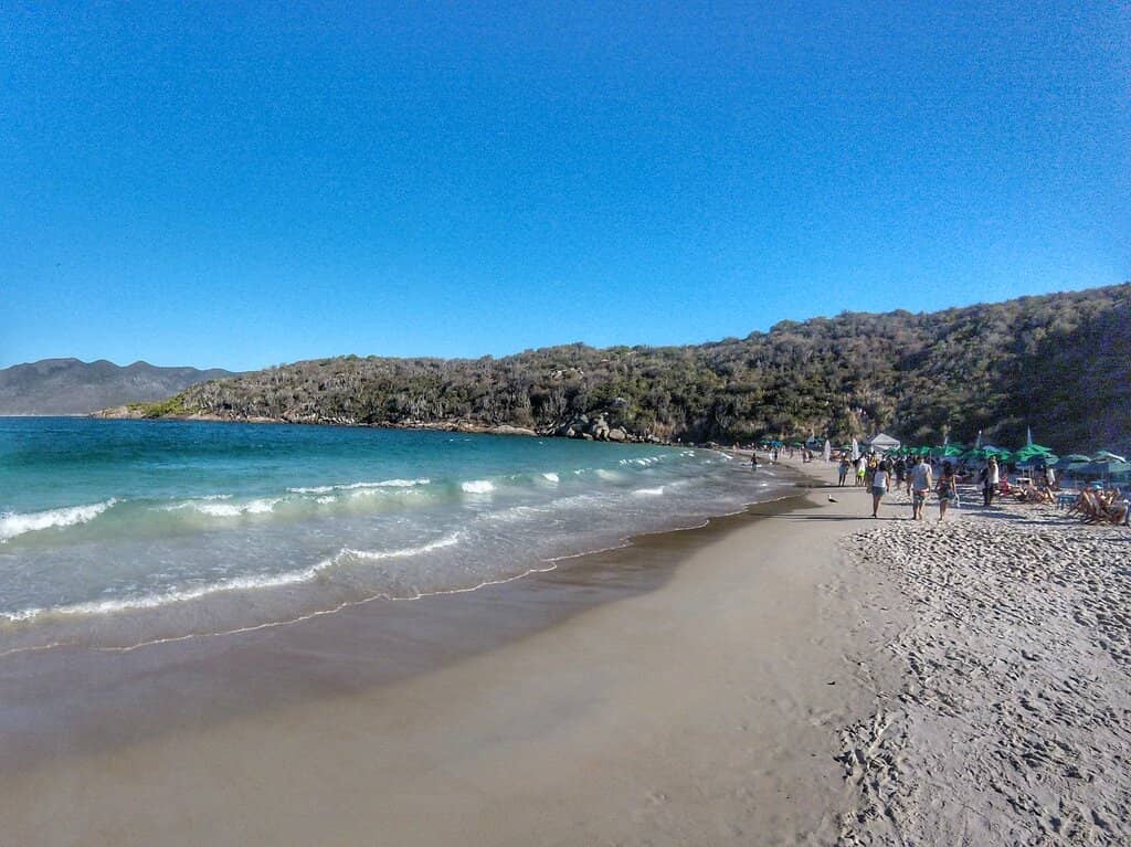 Expansive Sandy Shores