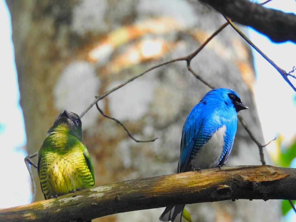 The Eight Waterfalls Trail