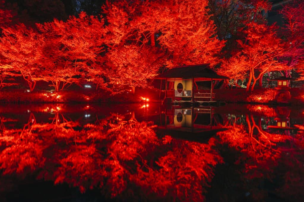 Tranquil Koi Ponds