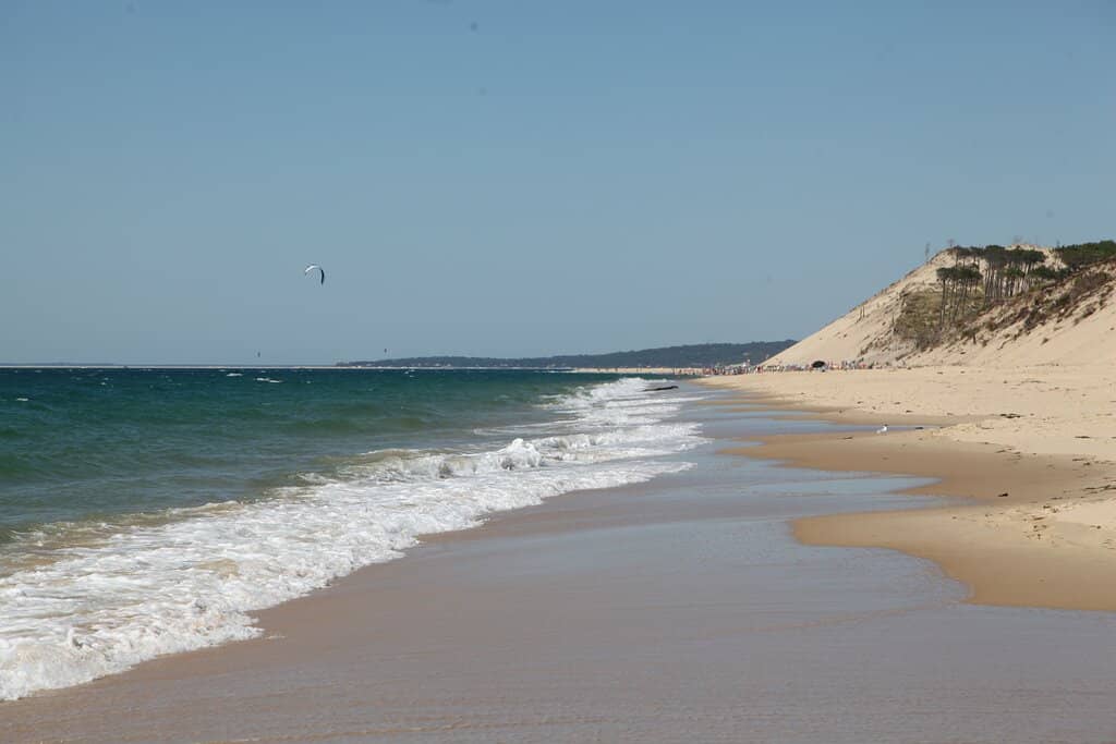 Surfer's Paradise