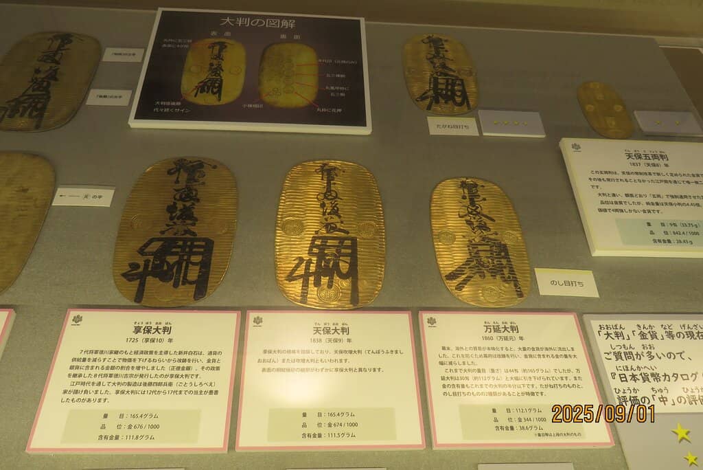 Cherry Blossom Garden