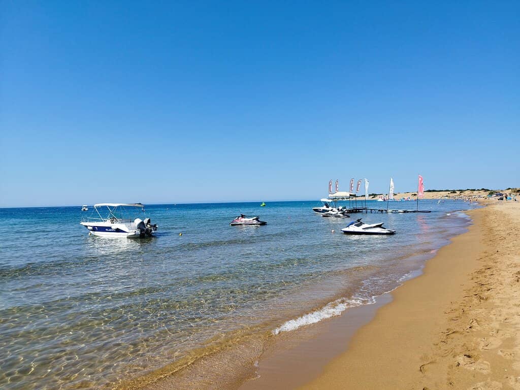 Cedar Forest Scenery